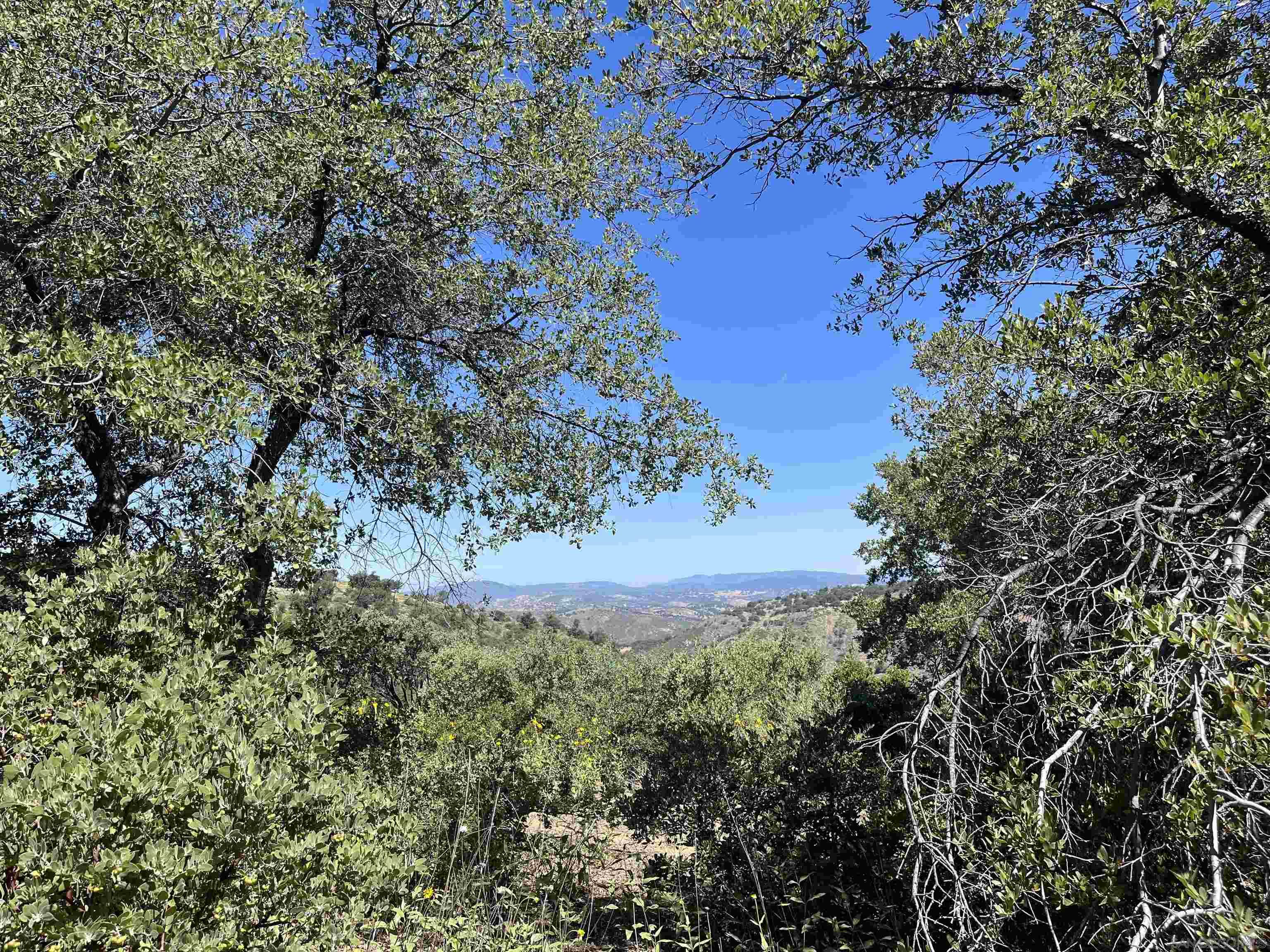 3890 Eagle Ridge