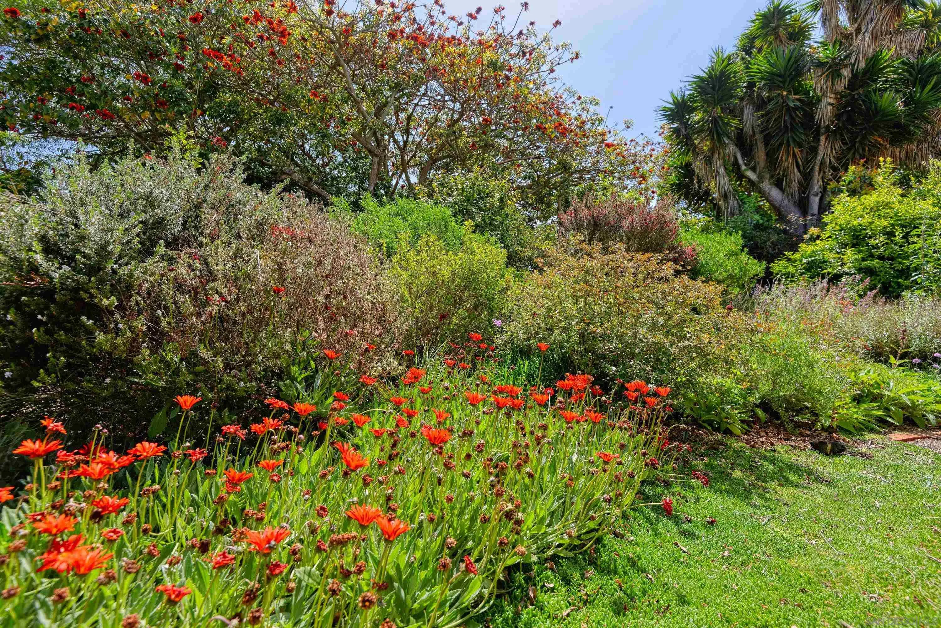 Del Mar, California 92014, United States, 3 Bedrooms Bedrooms, ,2 BathroomsBathrooms,Residential,Active,113441