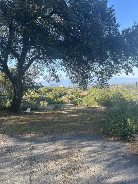 High Mountain Ln