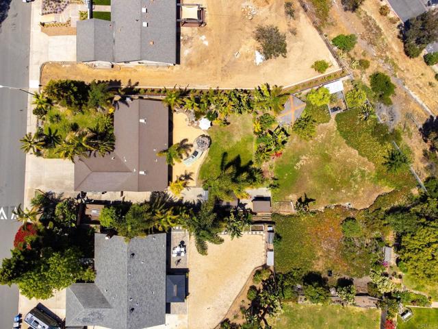 157 Beechtree Drive