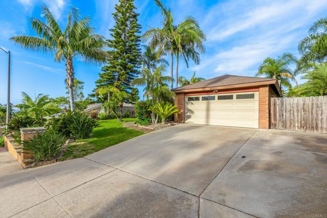 157 Beechtree Drive