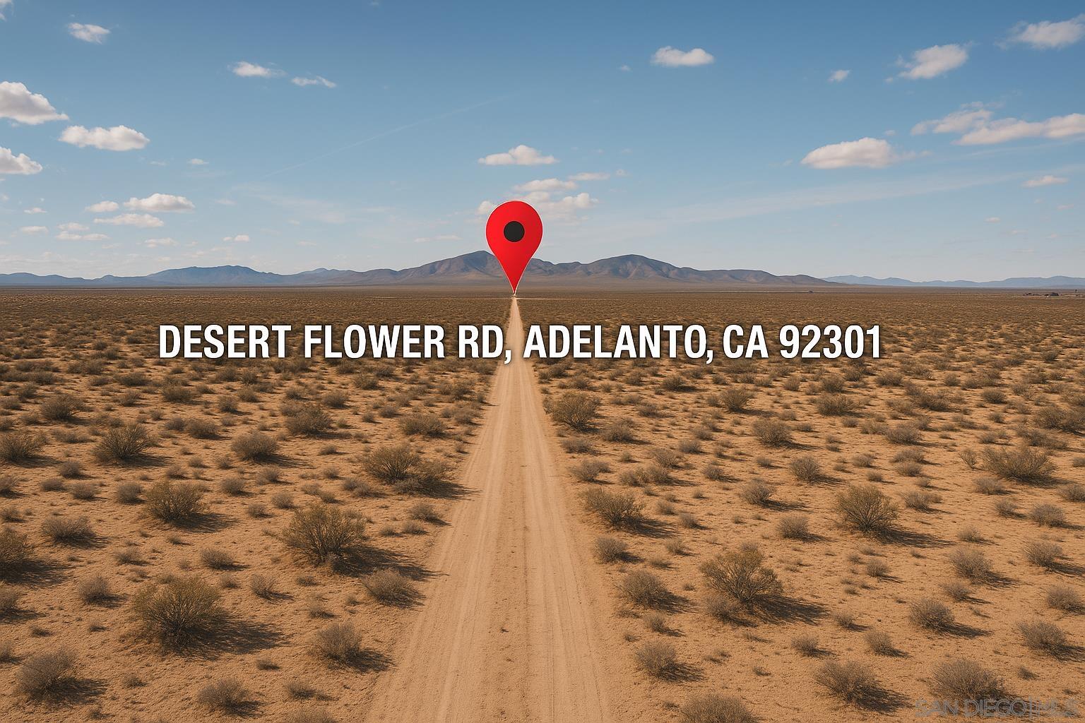 Desert Flower Rd