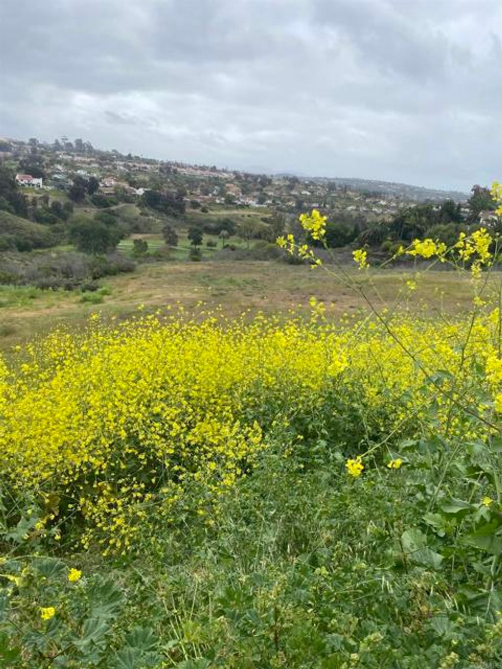 Photo of 0 Oceanview Road, Oceanside, CA 92056 (MLS # NDP2504901)