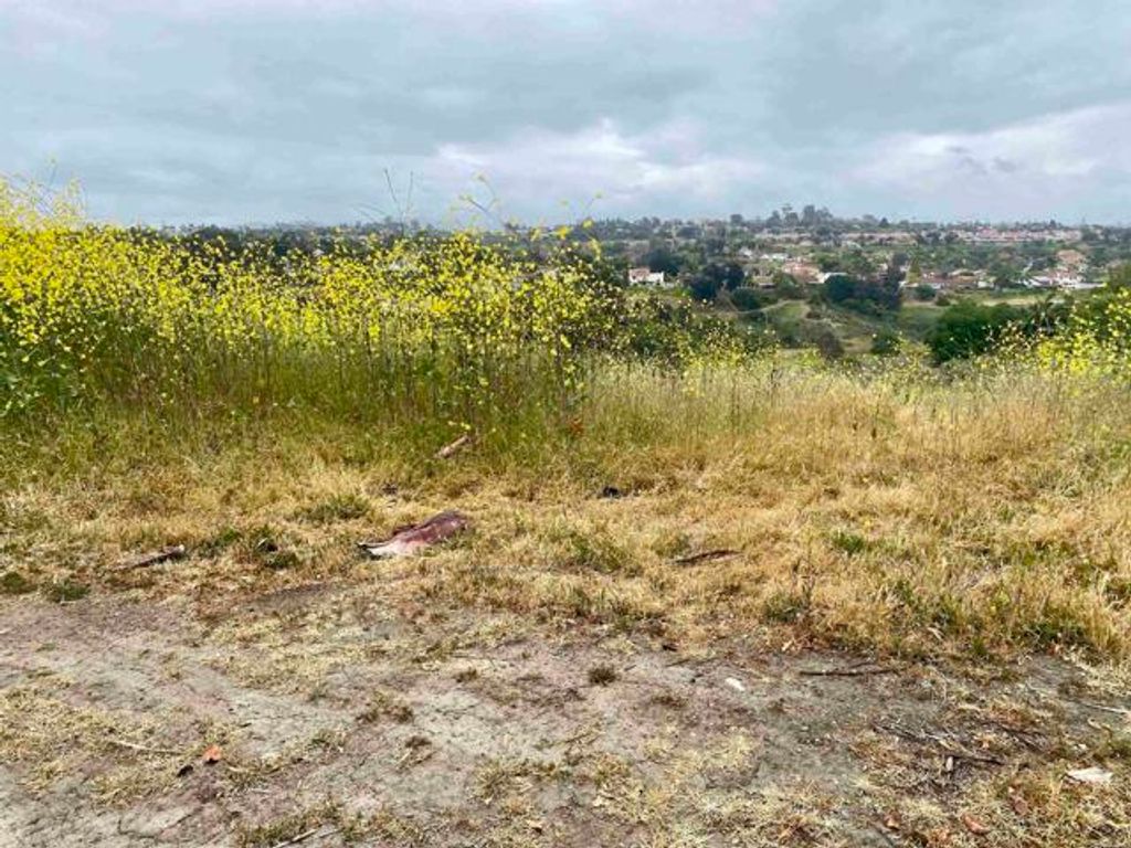 Photo of 0 Oceanview Road, Oceanside, CA 92056 (MLS # NDP2504901)