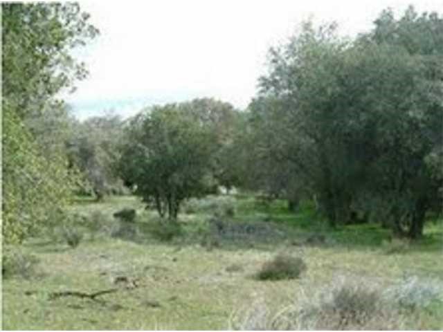 160 Historic Ranch Canebrake Road