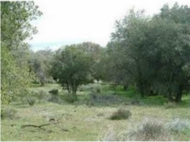 160 Historic Ranch Canebrake Road