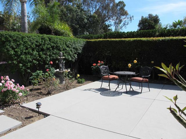 7245 Carpa Court