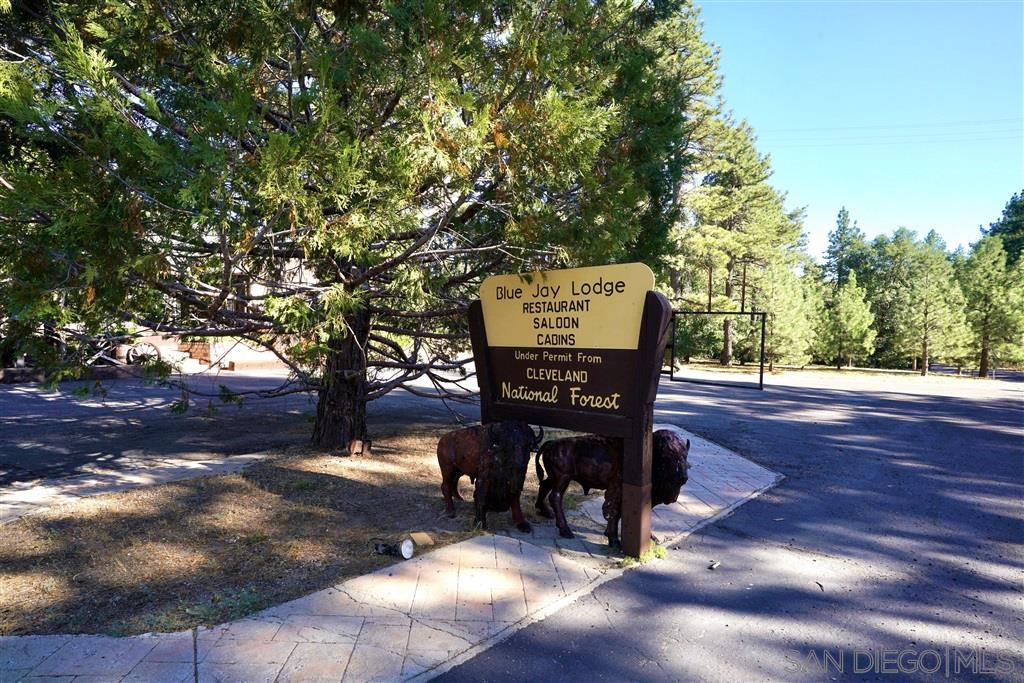 10600 Sunrise Highway