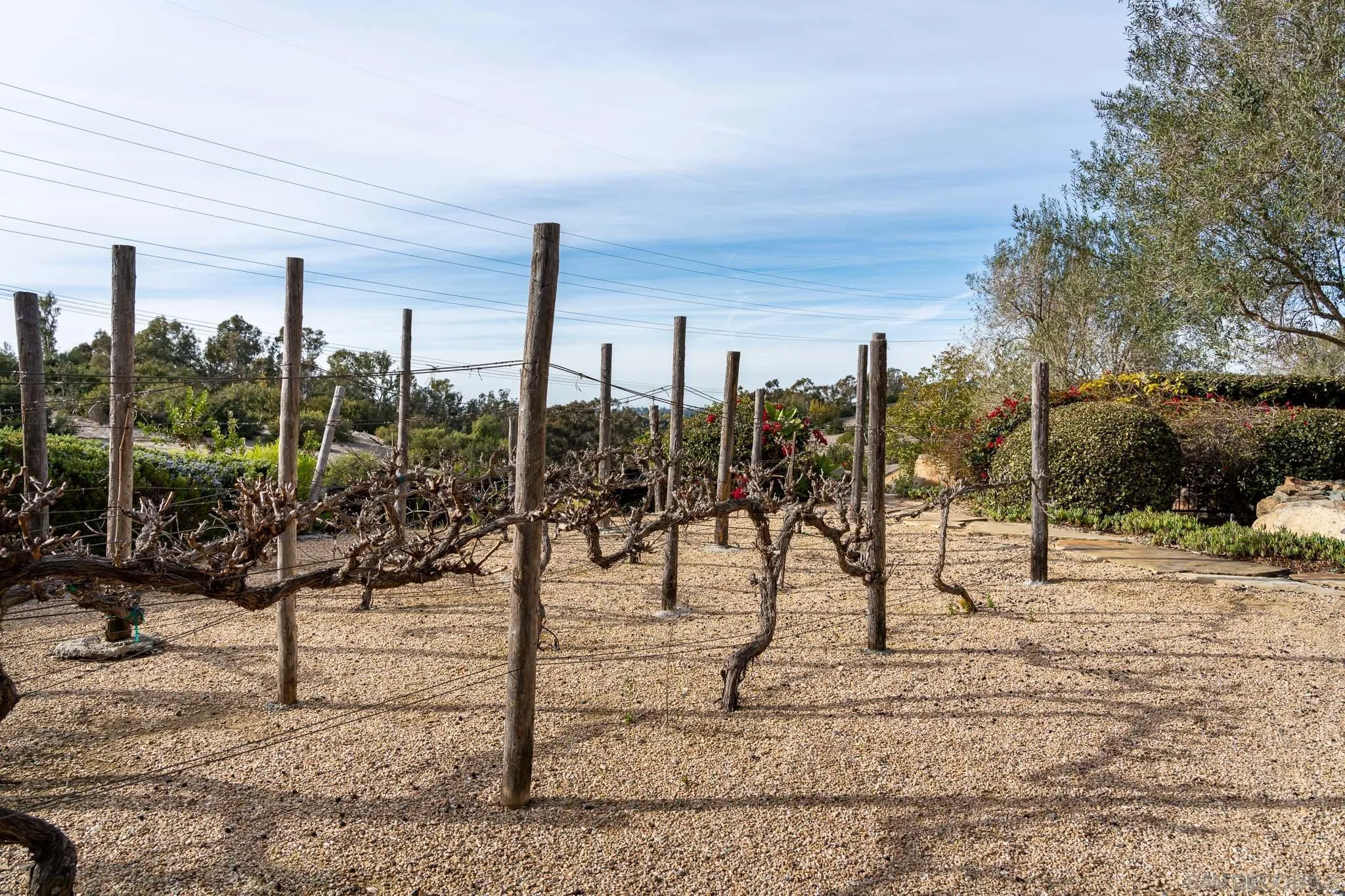 San Diego, California 92127, United States, 8 Bedrooms Bedrooms, ,8 BathroomsBathrooms,Residential,Active,3113