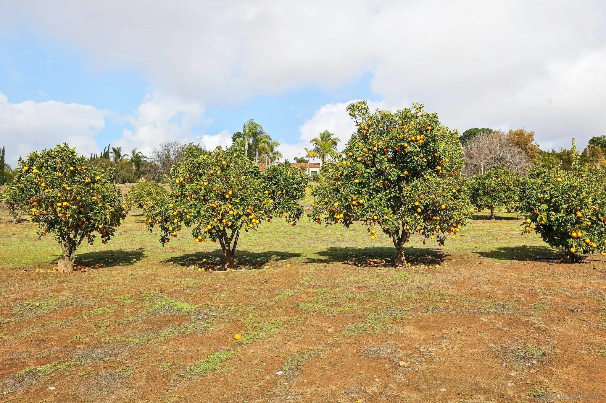 Poway, California 92064, United States, 4 Bedrooms Bedrooms, ,6 BathroomsBathrooms,Residential,Active,2789