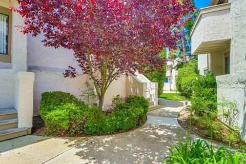 8470 Via Sonoma La Jolla CA 92037