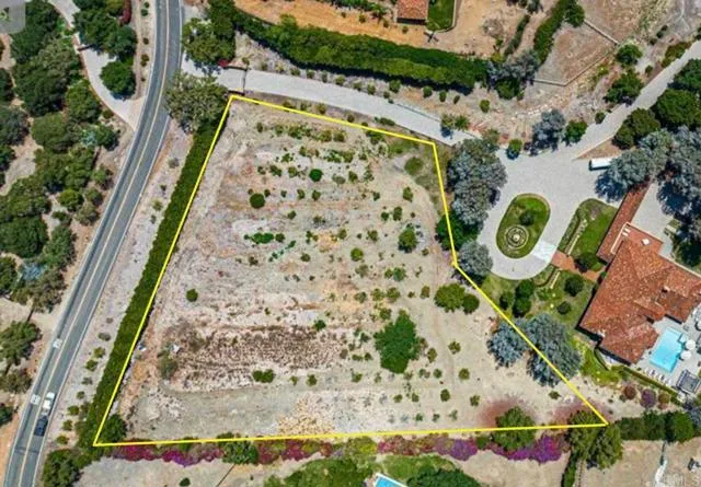 MLS: PTP2501881