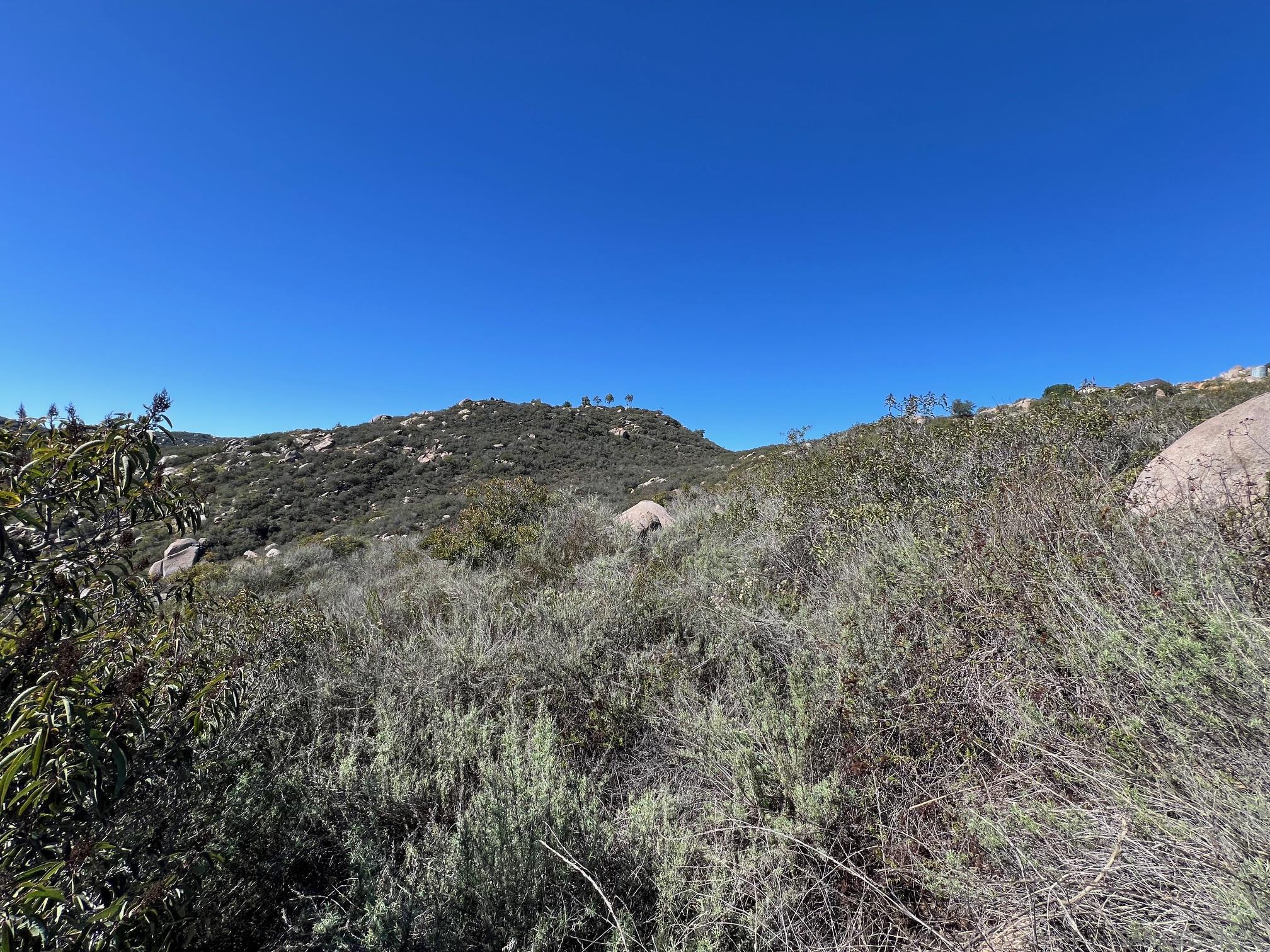 000 Wildcat Canyon Road