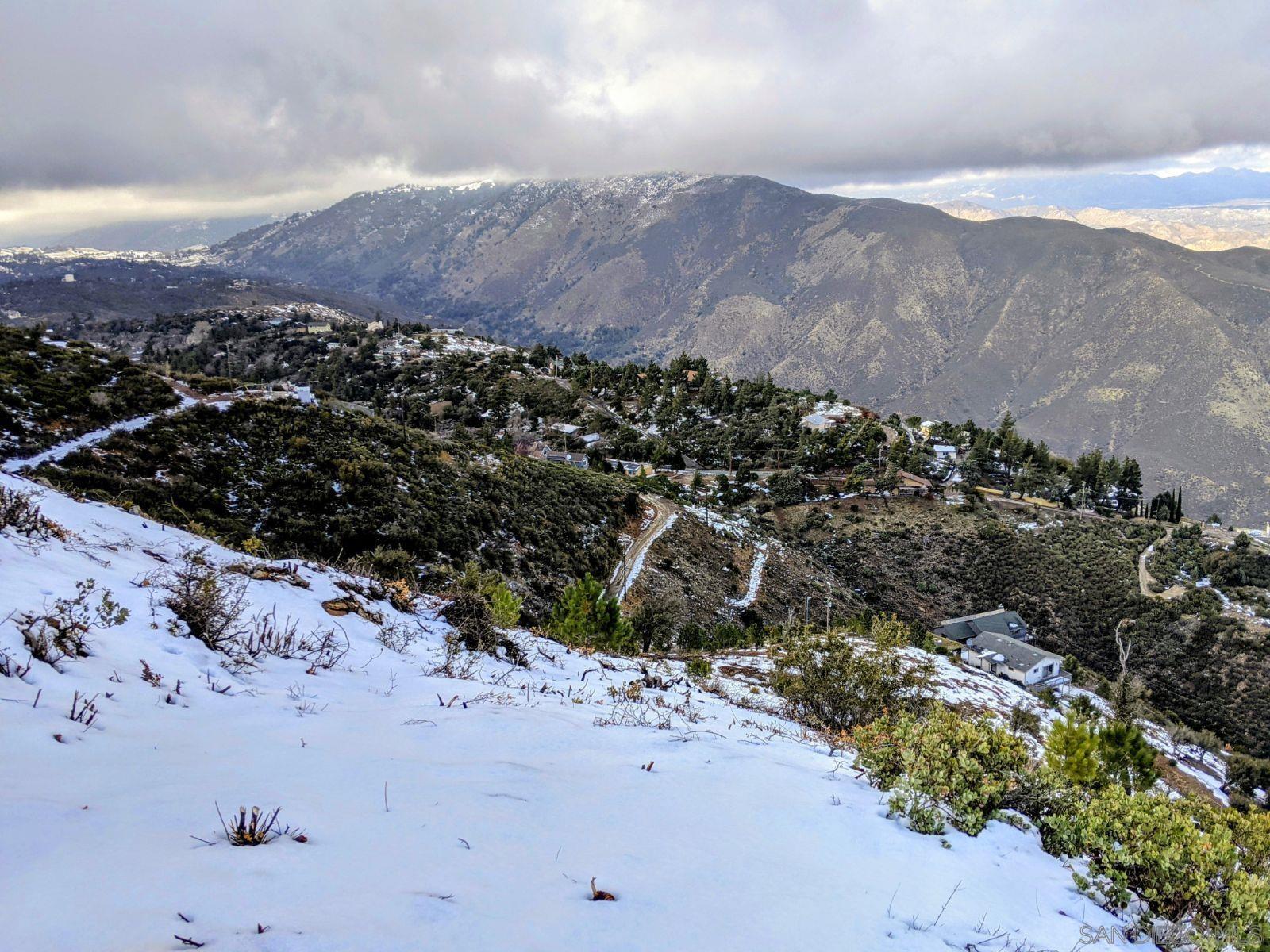 Manzanita