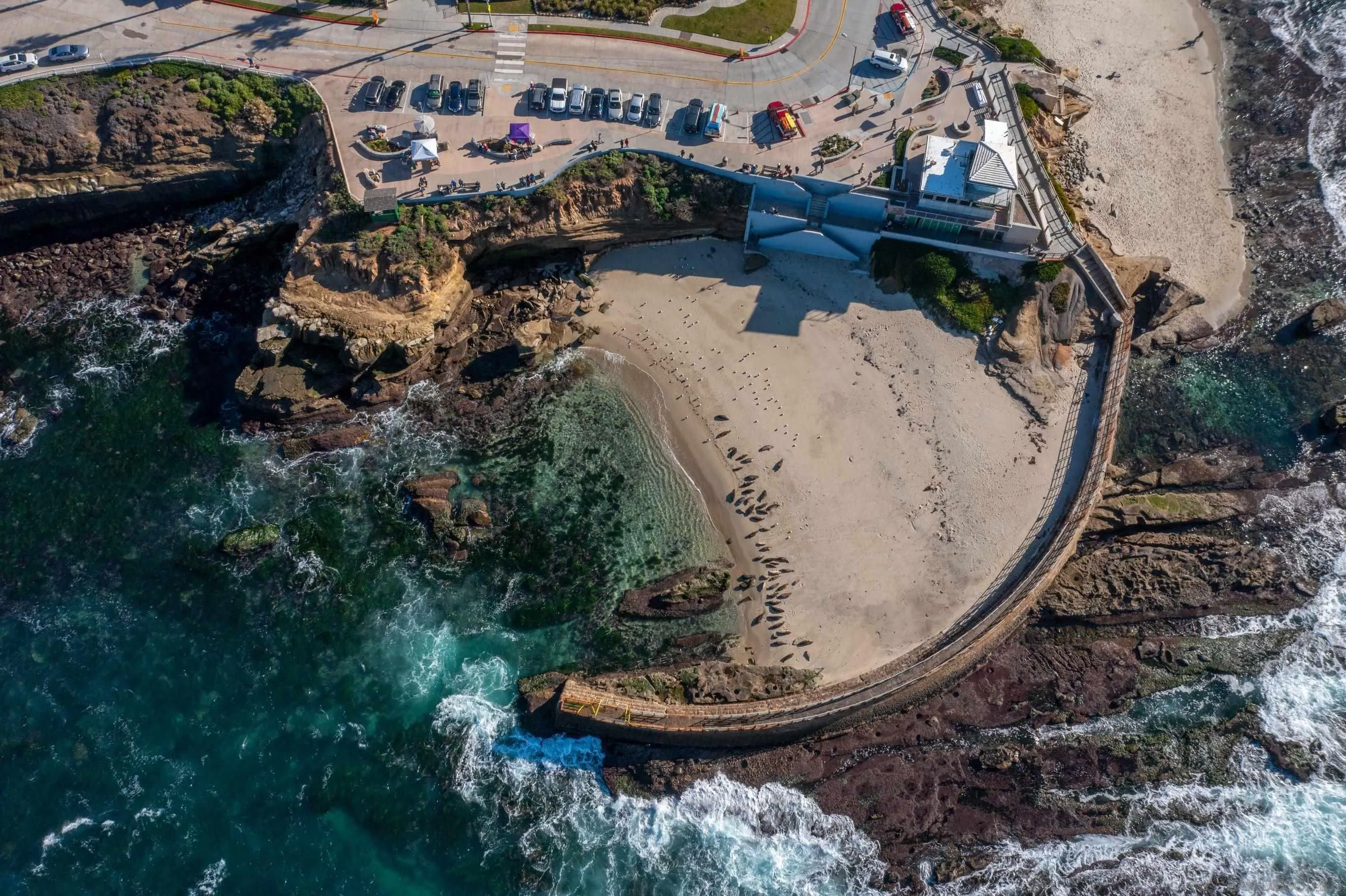 La Jolla, California 92037, United States, 2 Bedrooms Bedrooms, ,2 BathroomsBathrooms,Residential,Active,152894