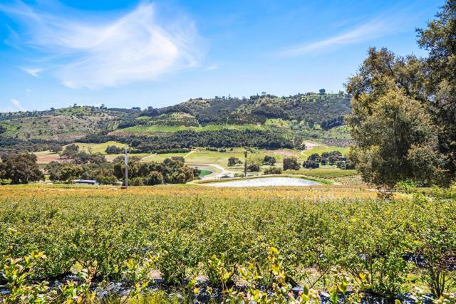 14224 Old Cole Grade Road