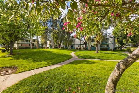 Featured picture for the property 240005172