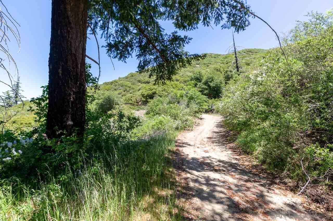 San Felipe Rd 0