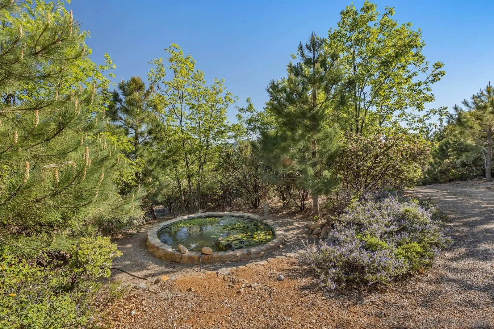 Julian, California 92036, United States, 5 Bedrooms Bedrooms, ,5 BathroomsBathrooms,Residential,Active,110131