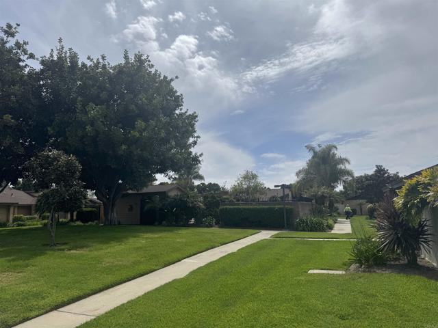3470 Peach Tree Way