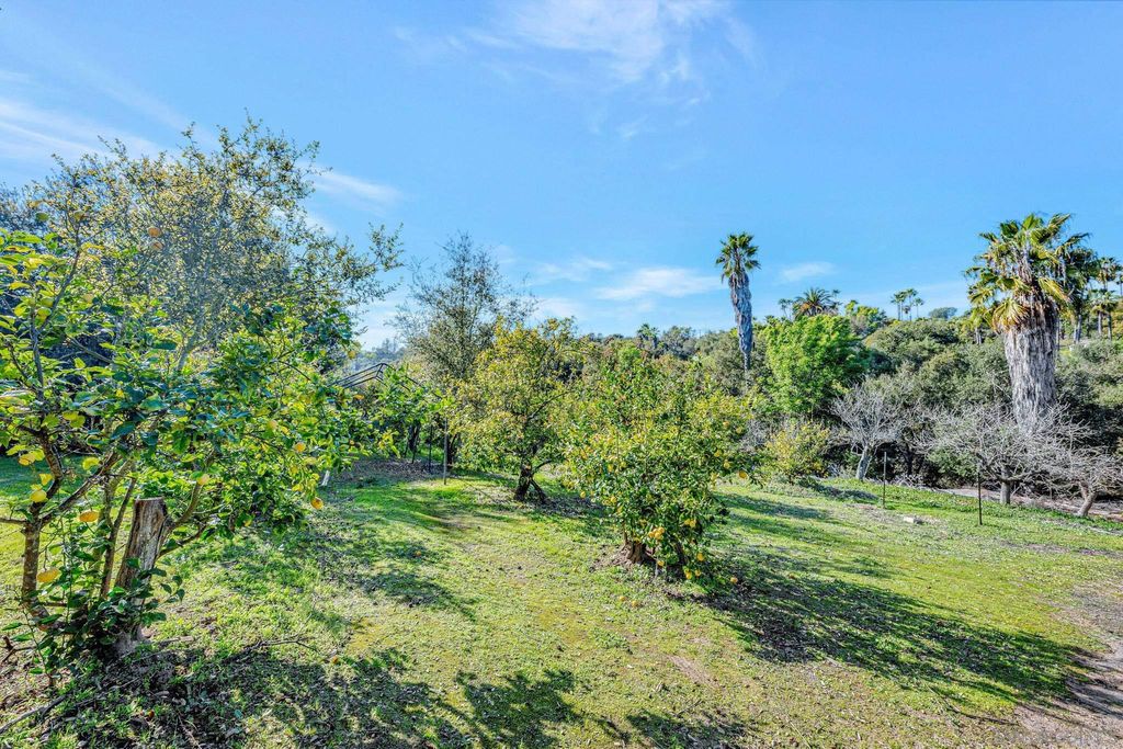 listing image 64