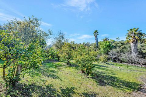 listing image 64