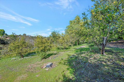 listing image 63