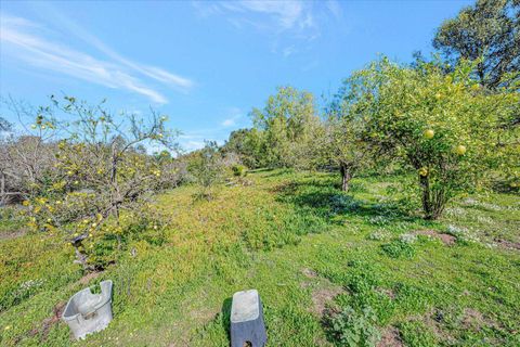 listing image 66