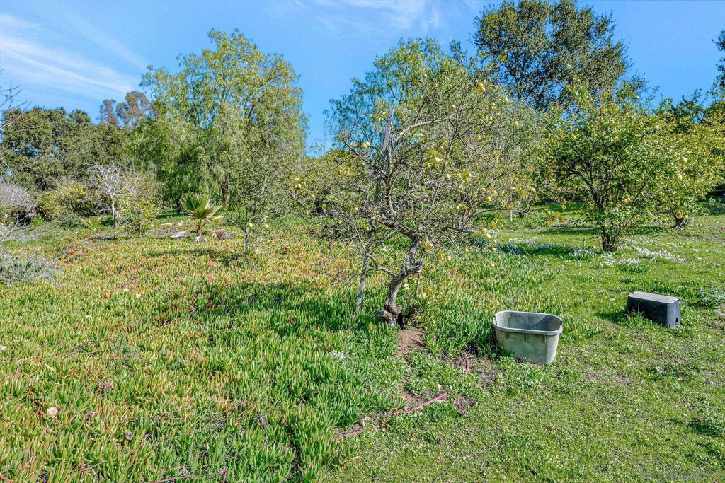 listing image 65