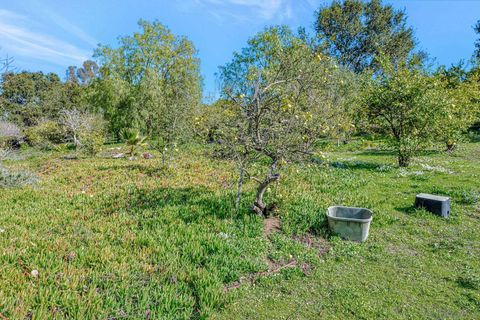 listing image 65