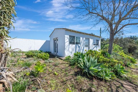 listing image 53