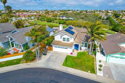 1647  Hawk View Drive Encinitas CA 92024