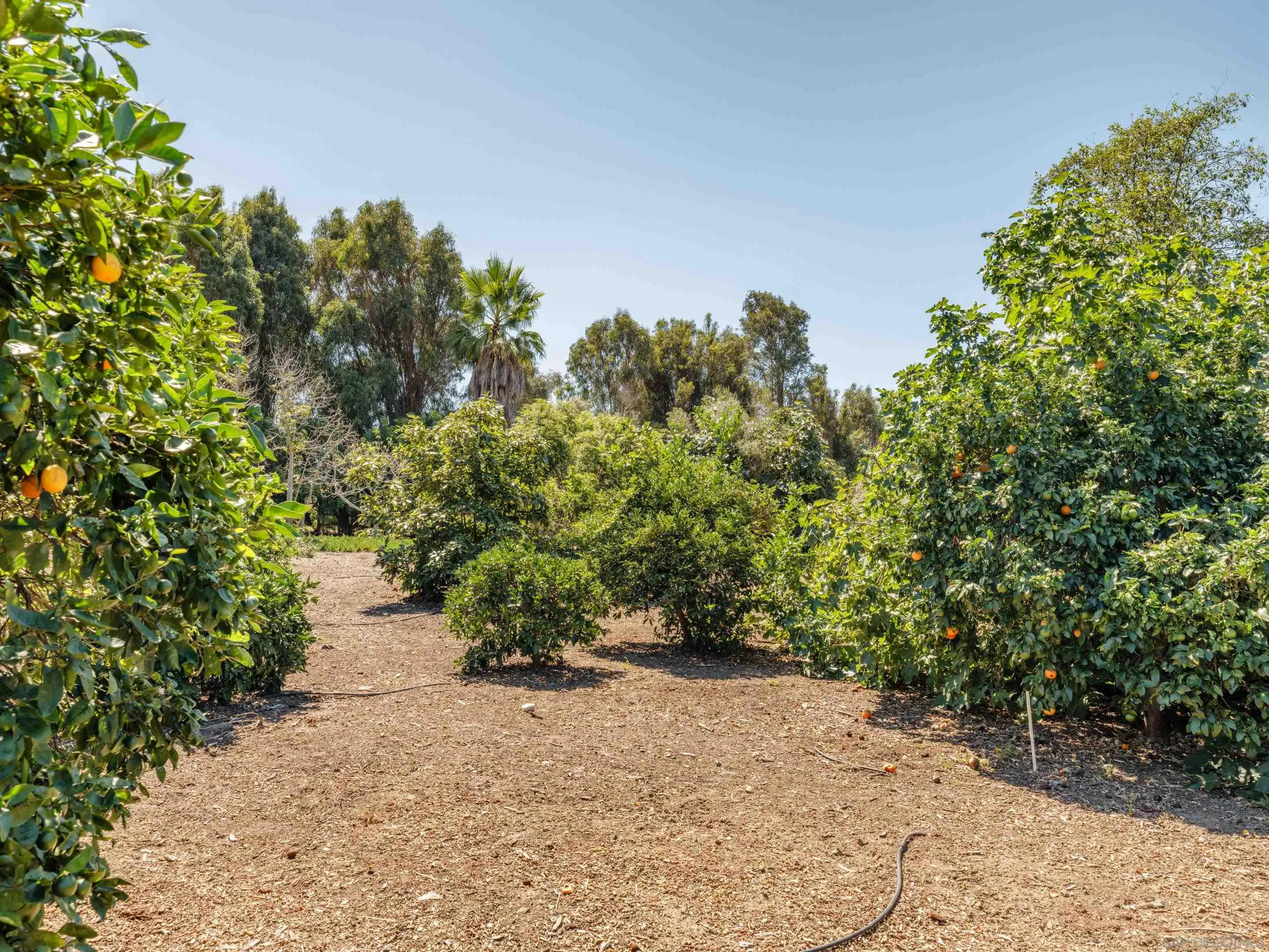 Rancho Santa Fe, California 92067, United States, 8 Bedrooms Bedrooms, ,7 BathroomsBathrooms,Residential,Active,3273