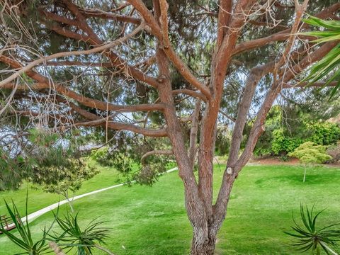 A home in Encinitas