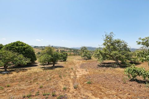7727  Mount Ararat Way Bonsall CA 92003