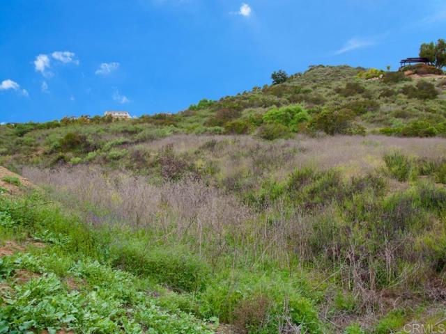 1650 Vista Del Mar