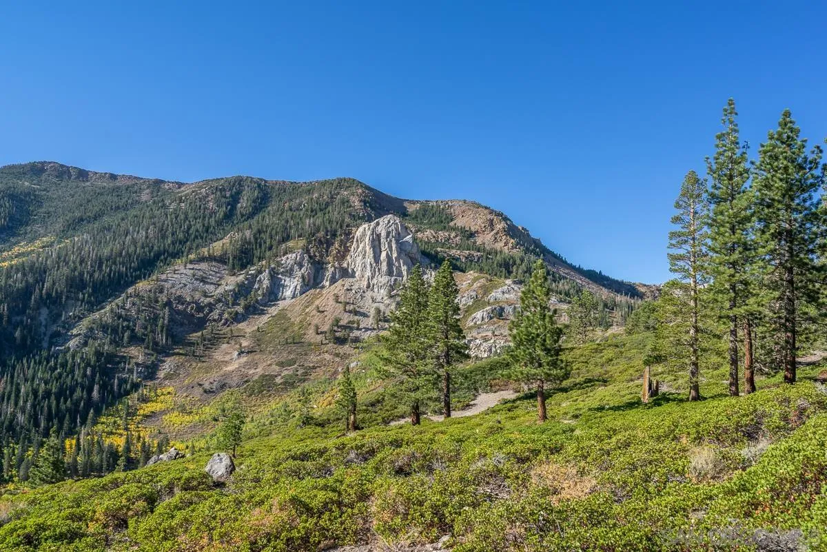 Mammoth Lakes, California 93546, United States, 6 Bedrooms Bedrooms, ,7 BathroomsBathrooms,Residential,Active,74643