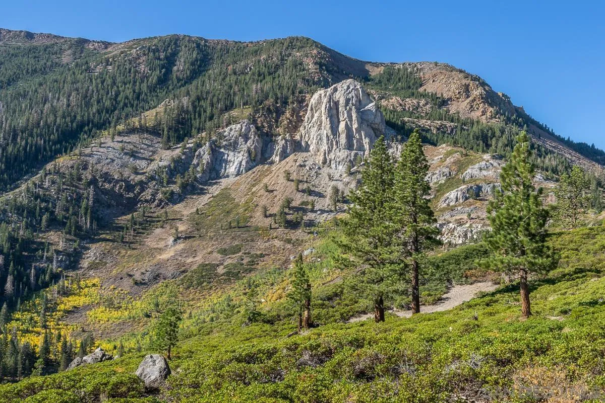 Mammoth Lakes, California 93546, United States, 6 Bedrooms Bedrooms, ,7 BathroomsBathrooms,Residential,Active,74643