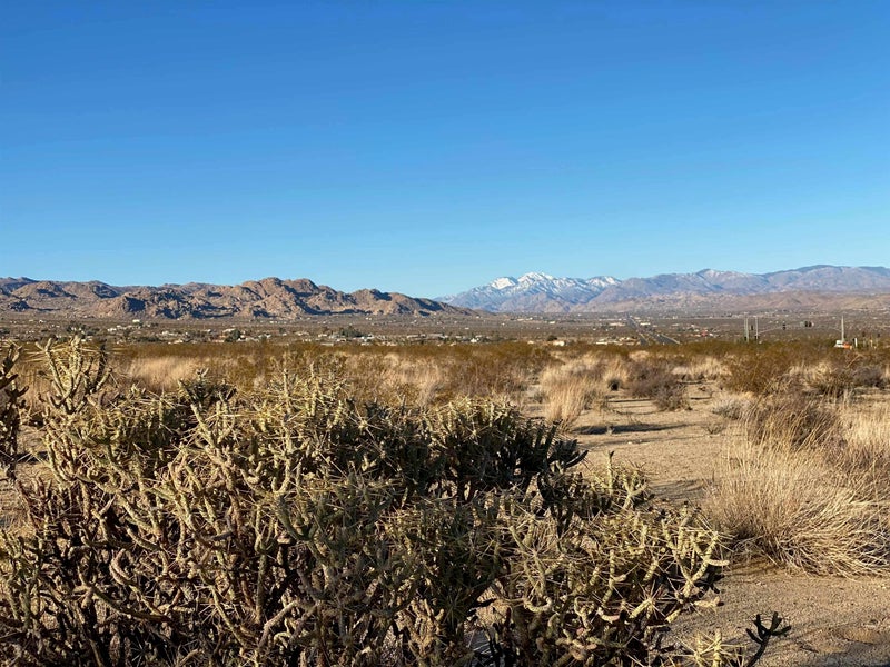 29 Palms HWY 1