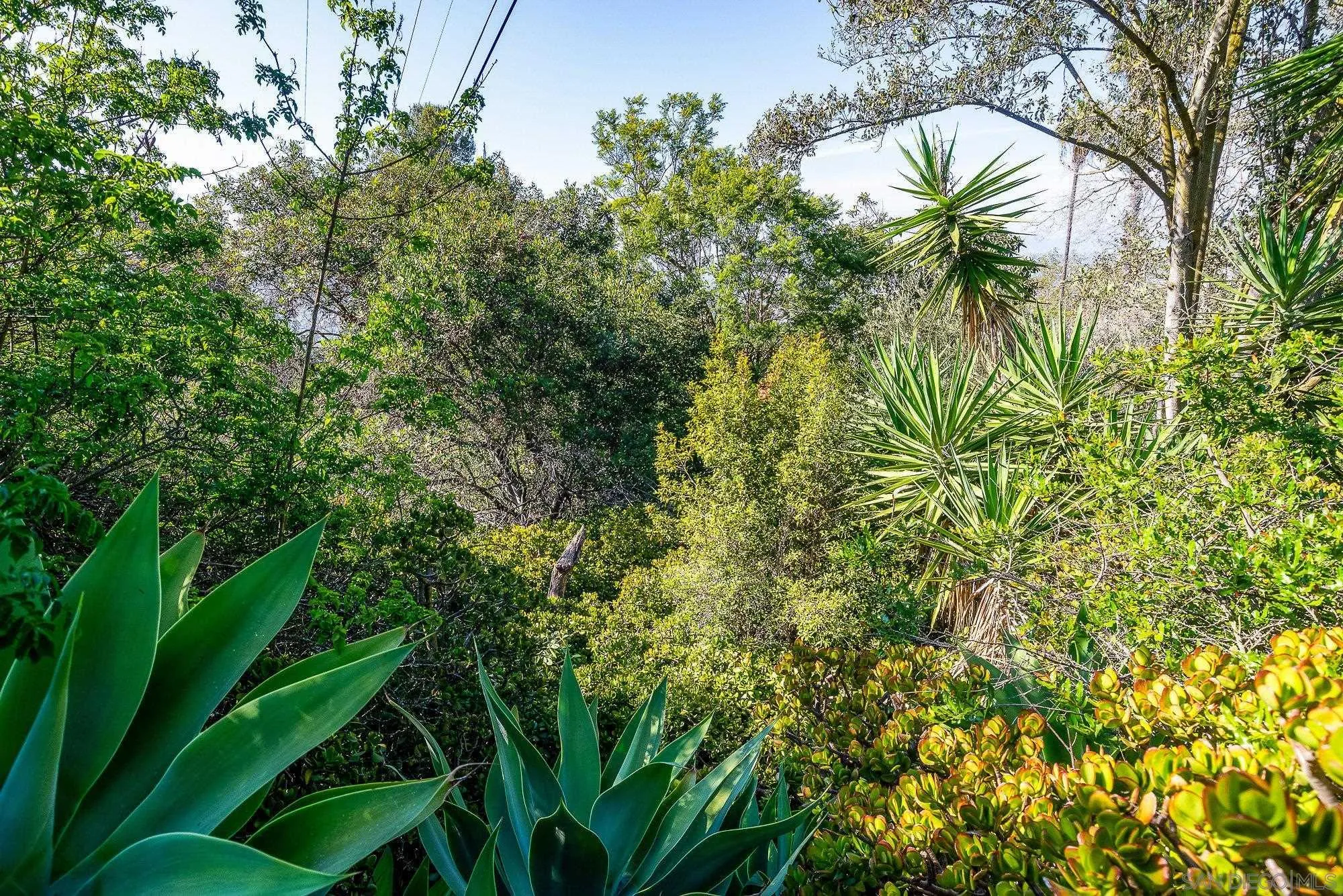 La Mesa, California 91941, United States, 2 Bedrooms Bedrooms, ,2 BathroomsBathrooms,Residential,Active,159796