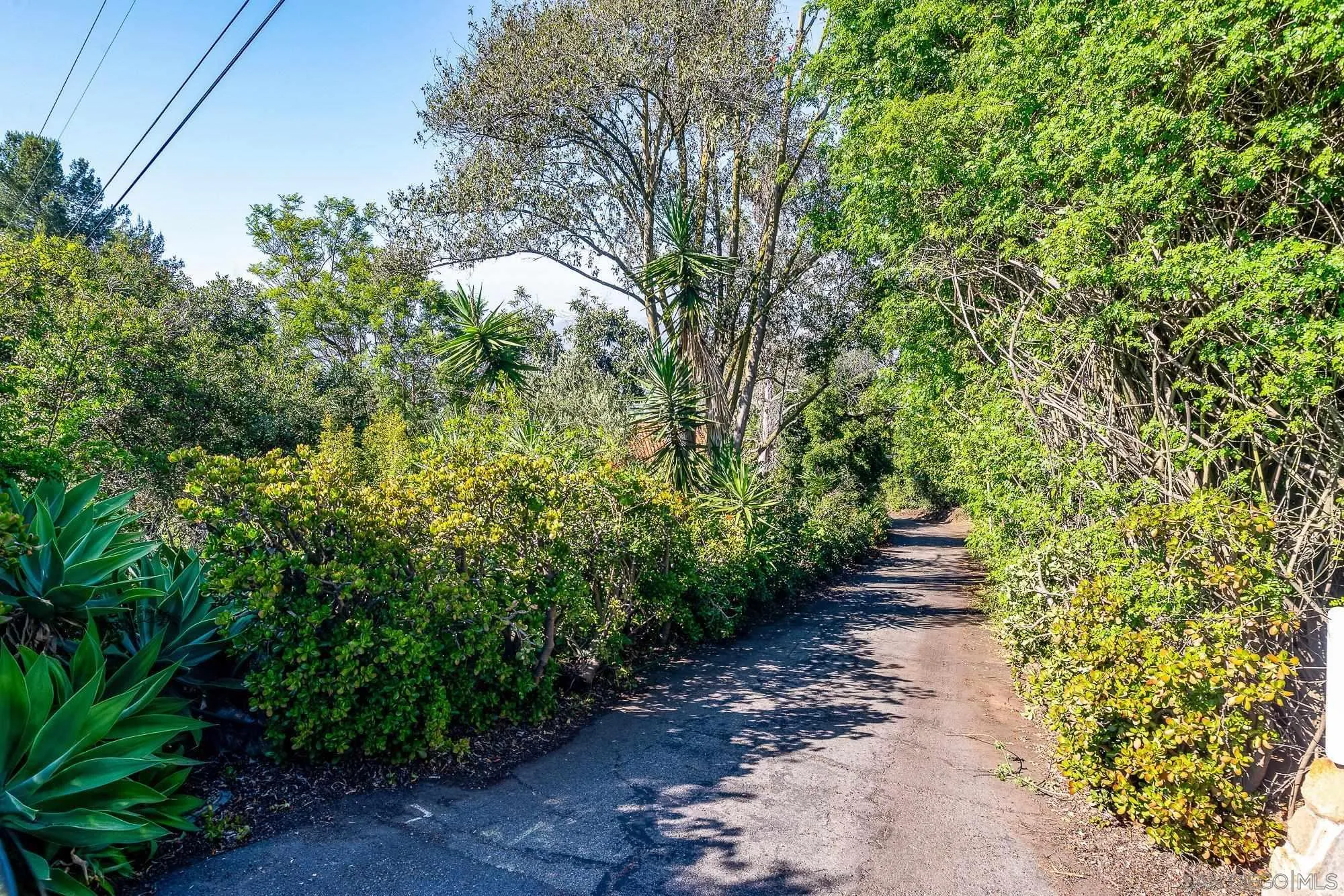 La Mesa, California 91941, United States, 2 Bedrooms Bedrooms, ,2 BathroomsBathrooms,Residential,Active,159796