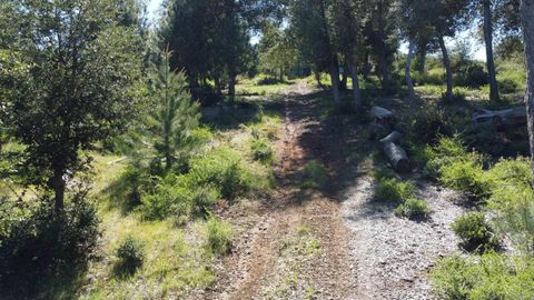 000 Toyon Mountain Ln Julian CA 92036