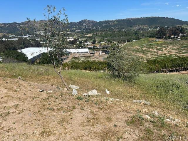 515 Cassou Road