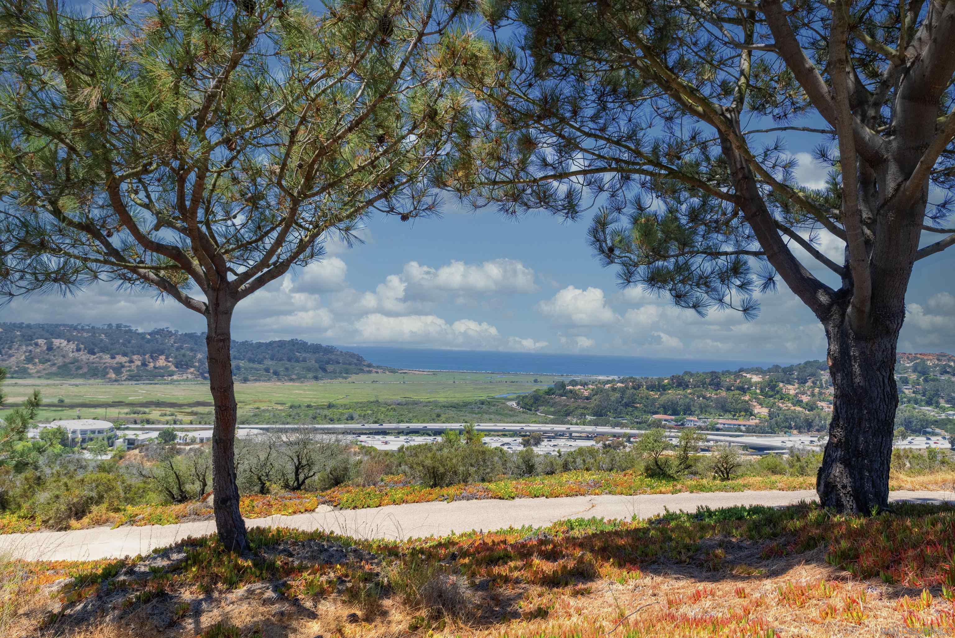 3811 Via Del Mar
