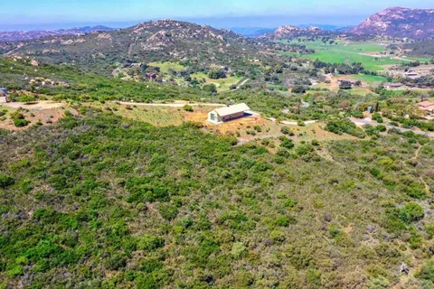 MLS: PTP2502410