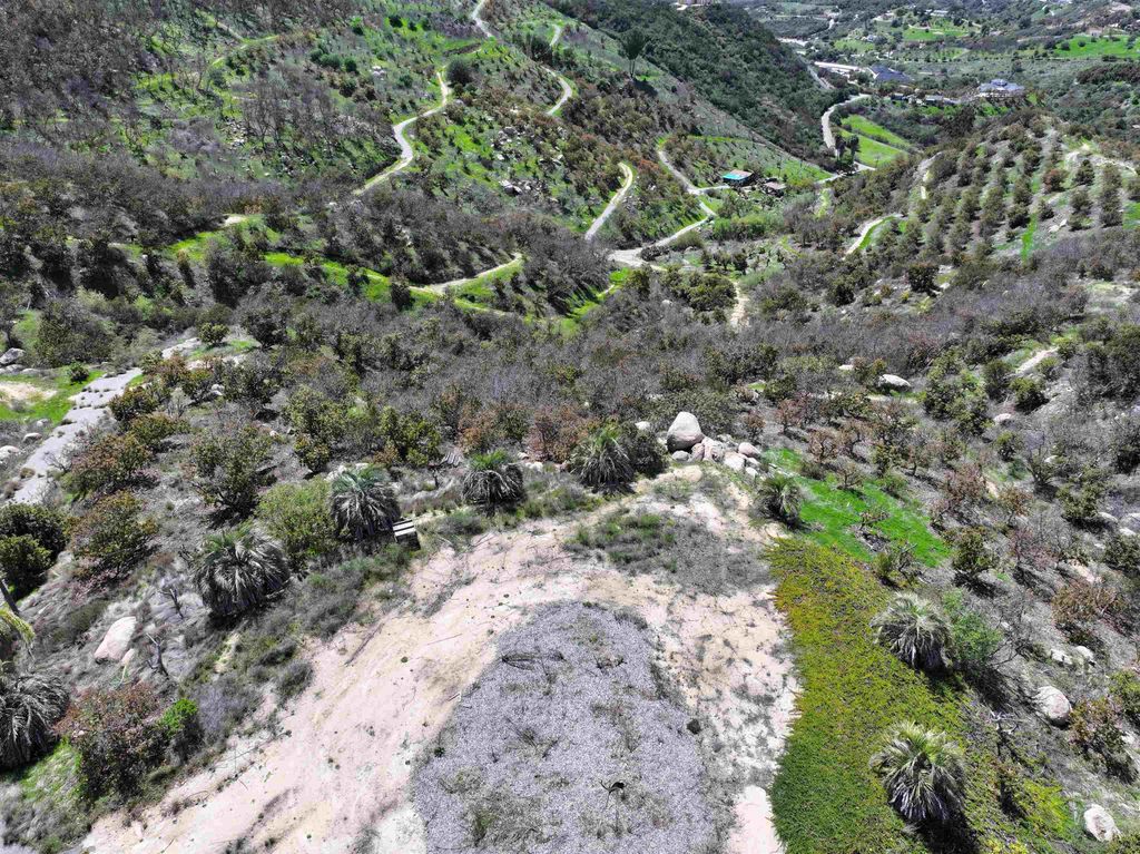 Photo of 2339 Green Valley Rd, Fallbrook, CA 92028 (MLS # 250027602)