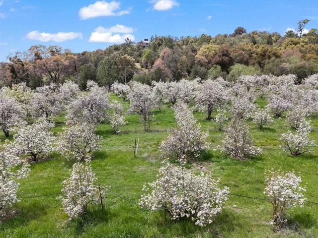 1020 Julian Orchards Drive