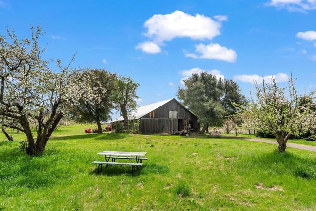 1020 Julian Orchards Drive