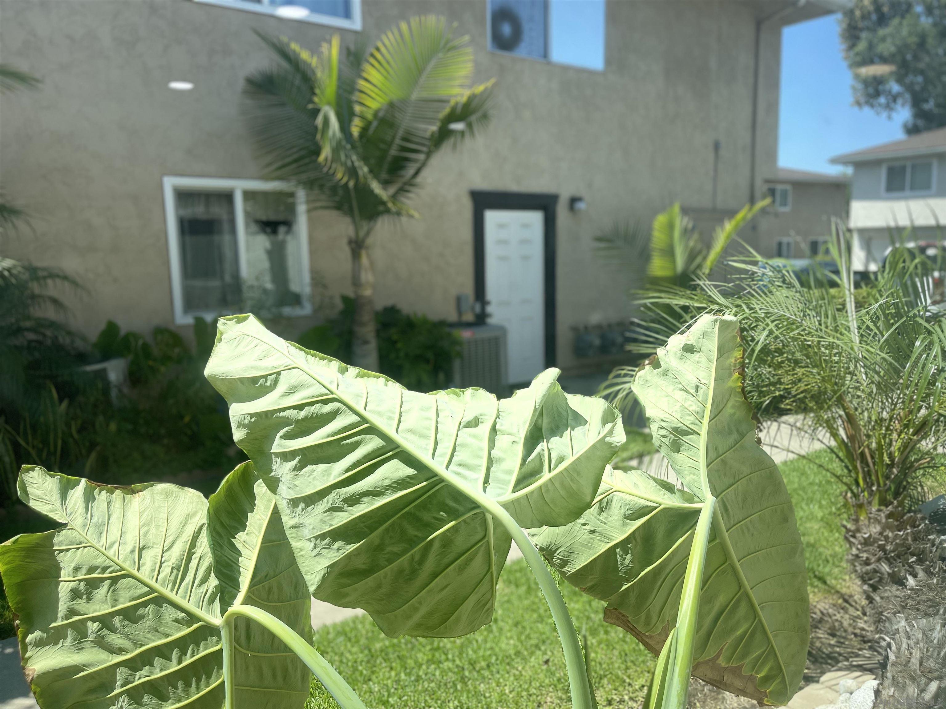 12128 Orange Crest Ct 3