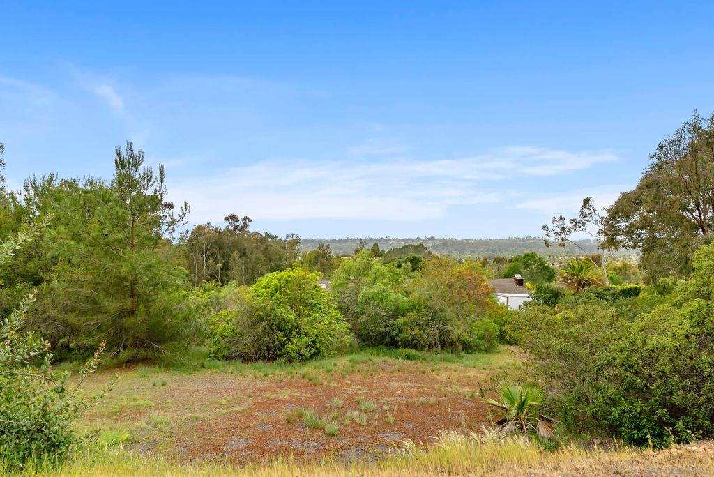 Photo of 6035 Paseo Valencia, Rancho Santa Fe, CA 92067 (MLS # 250026545)